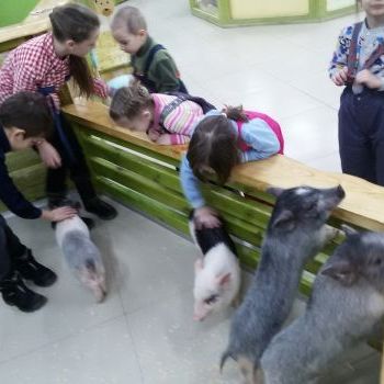 Ручной зоопарк — отличный досуг для детей