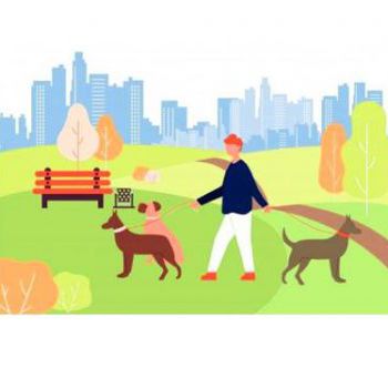 Опрос «Обустройство площадок для выгула и дрессировки собак и уборка отходов жизнедеятельности за владельческими собаками» 